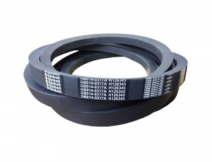 GB014-0317A GLOBELT H126345 Ремень приводной гладкий CR