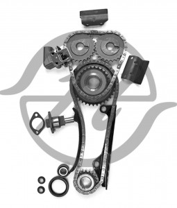 HC 800 001 KIT GLOBELT Ремкомплект цепи ГРМ